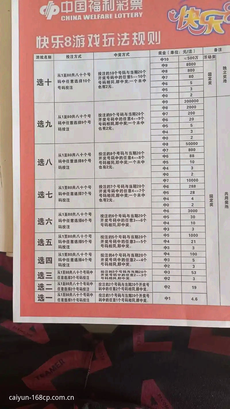 彩票玩法实用指南：新手必备知识，轻松上手168彩票平台